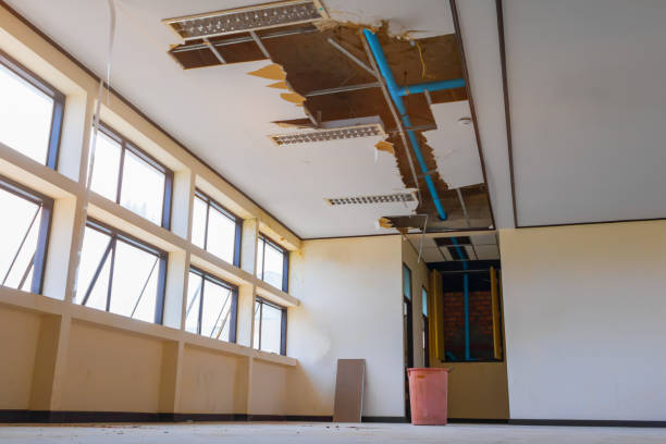 Best Water damage repair service  in Marion, IA