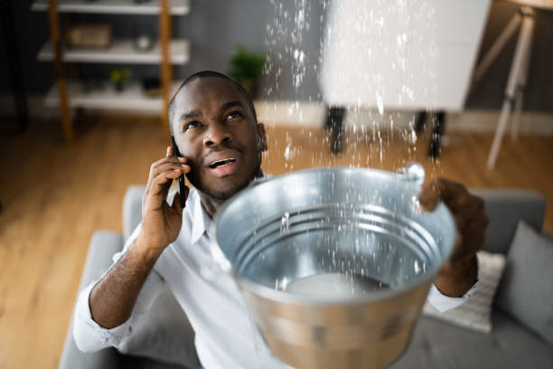 Best Flood damage cleanup  in Marion, IA