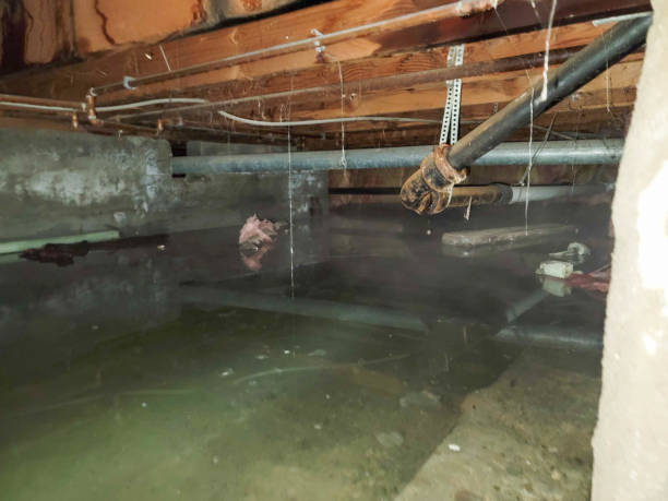 Best Water damage restoration near me  in Marion, IA