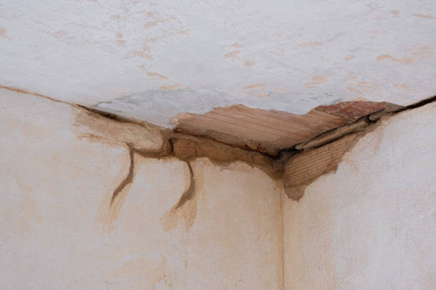 Best Water damage contractors near me  in Marion, IA