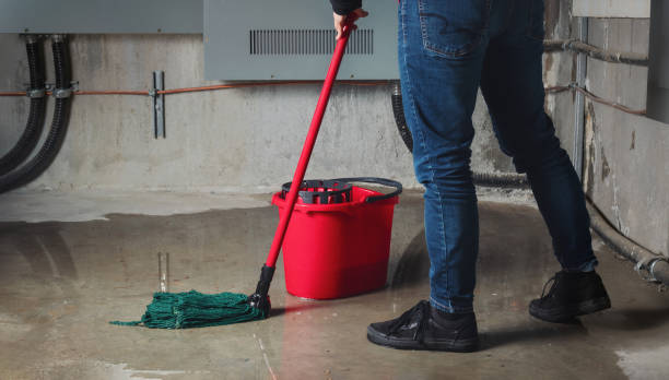 Best 24-hour water damage restoration  in Marion, IA