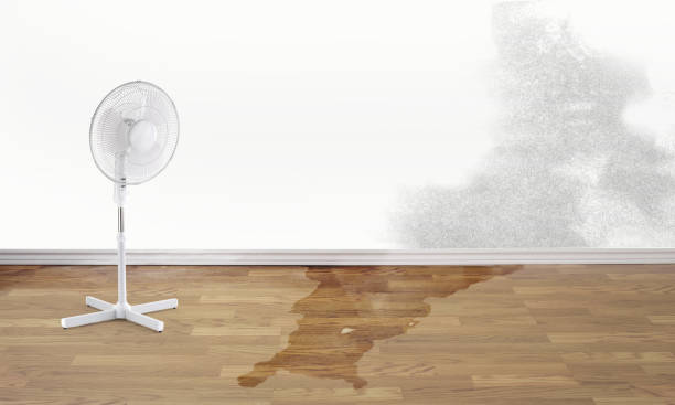 Best Flood restoration services  in Marion, IA