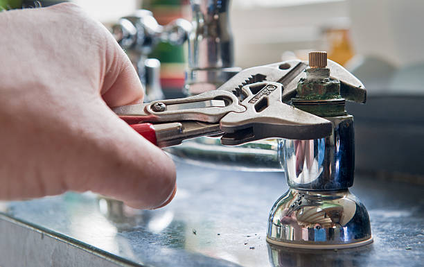 Best Mold removal after water damage  in Marion, IA