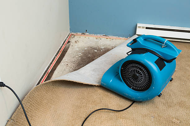 Best Flood restoration services  in Marion, IA