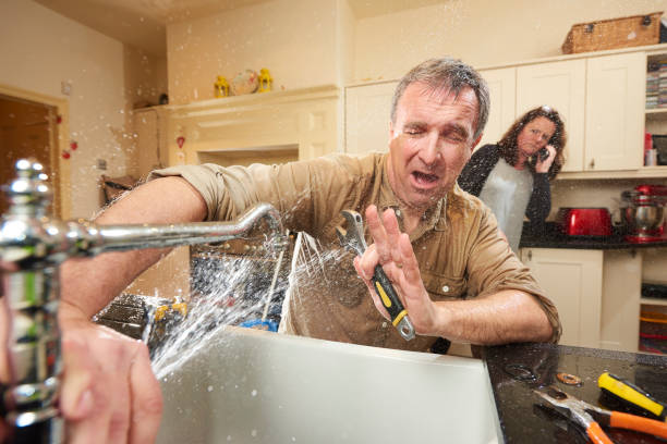 Best Carpet water damage restoration  in Marion, IA